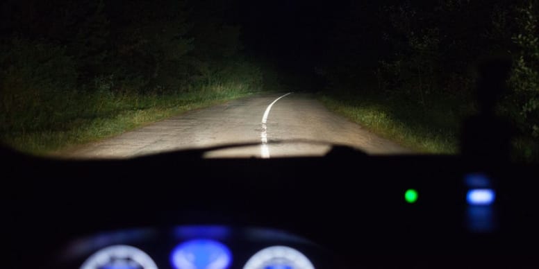 Chiens fantômes sur la route : la terrifiante vérité cachée derrière ces silhouettes ! 🐕👻