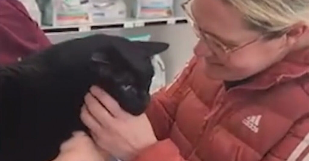 Émouvante rencontre entre un homme et un chat malade!