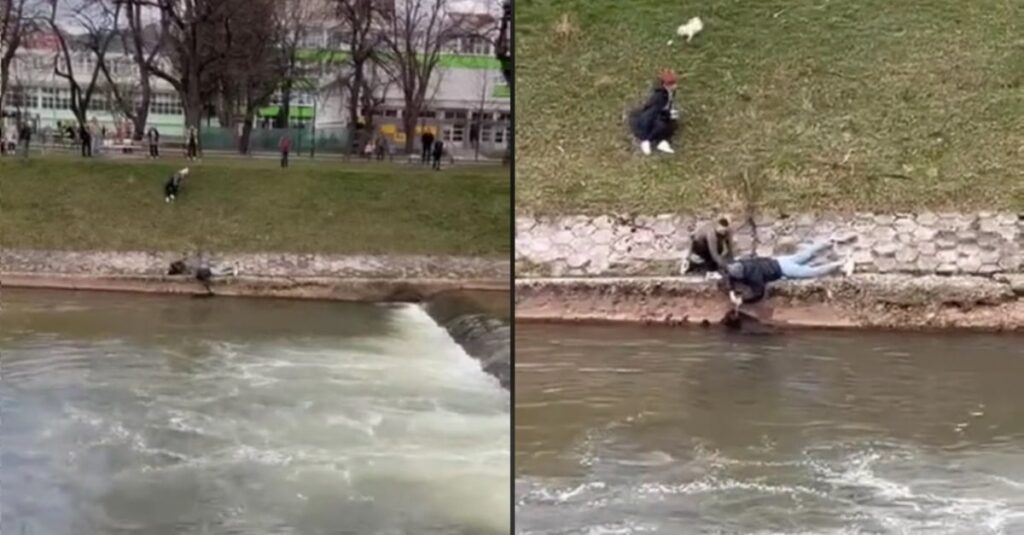 Sauvetage miraculeux d’un chien pris au piège dans une rivière agitée : voyez comment il en réchappe!