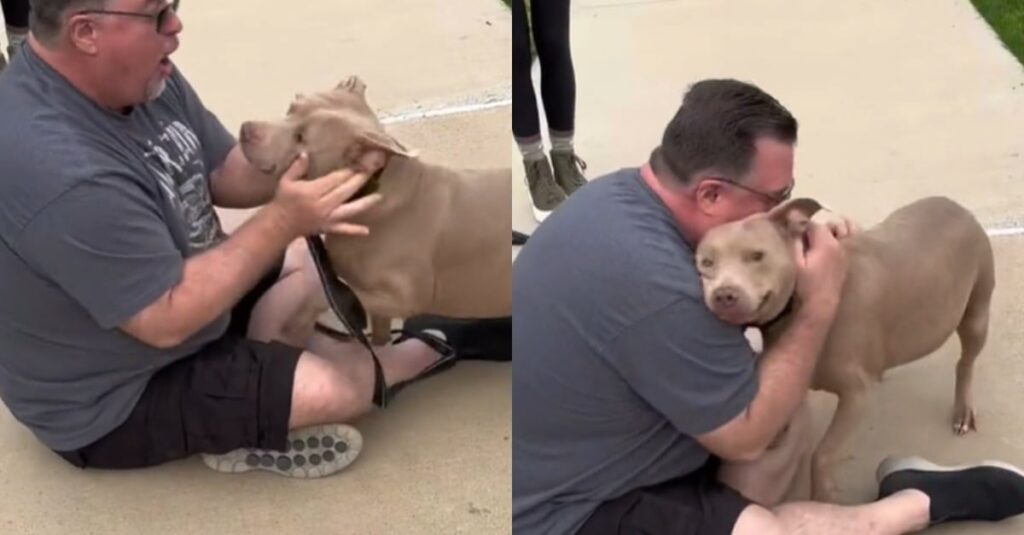 VIDEO : Un homme retrouve sa chienne après des mois de séparation – l’émotion est à son comble!