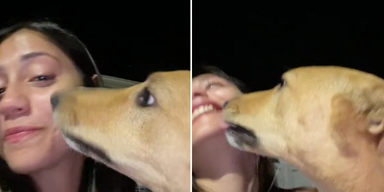 Vidéo : Une femme triste pleure dans la rue, mais un chien va lui redonner le sourire !