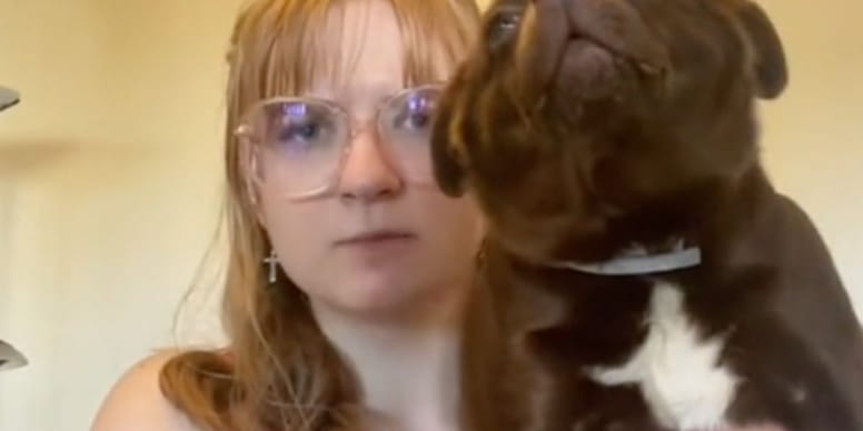 Découvrez le chien hybride incroyable devant 141K personnes (vidéo)