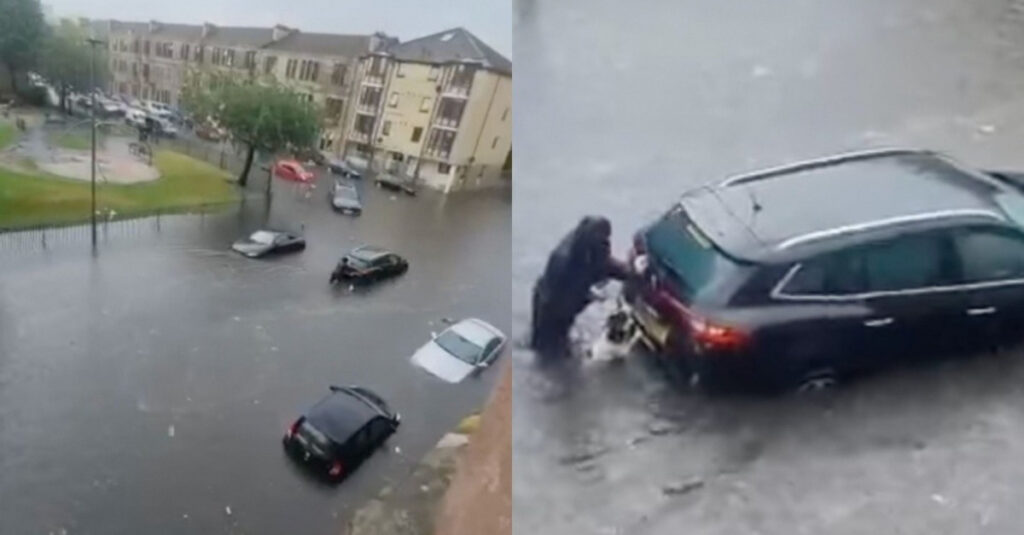 Chien héroïque sauve deux femmes coincées dans leur voiture (vidéo)