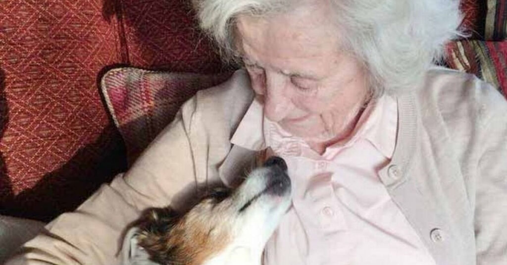 Chien senior : cette femme de 96 ans prouve qu’il n’est jamais trop tard pour adopter un compagnon à quatre pattes