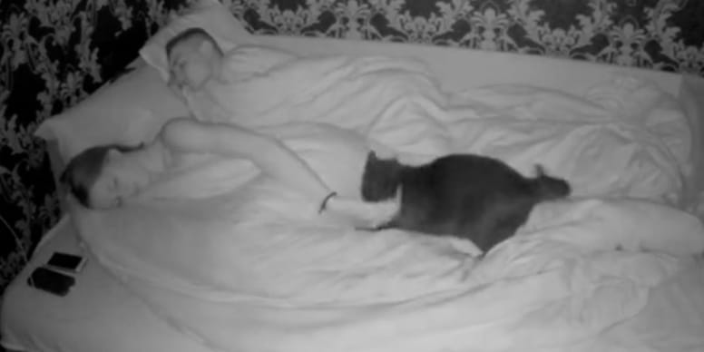 Incroyable vidéo : un couple filme son chat de nuit, vous n’allez pas croire ce qui s’est passé !