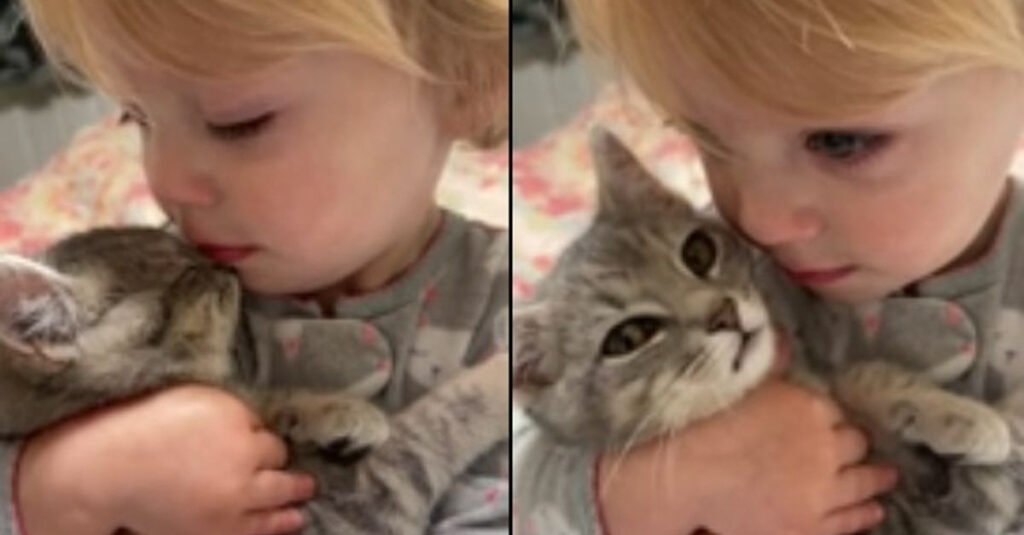 Cat stuck in tree rescued by loving family and finds solace in little girl’s arms! 🐱💕 (VIDEO)