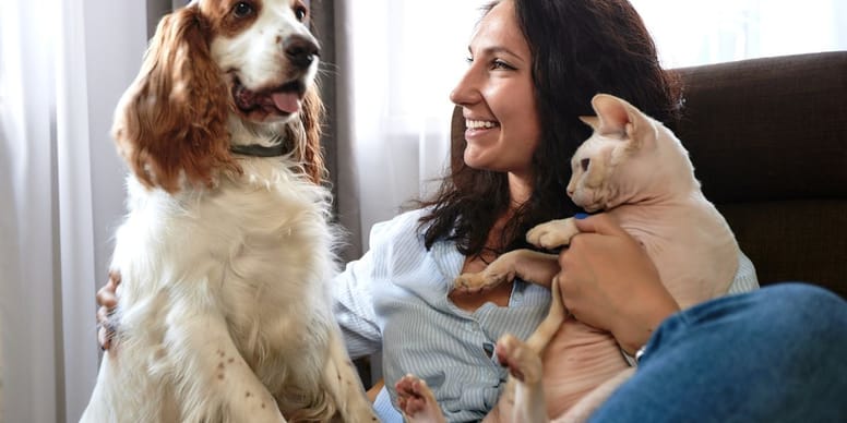 Chats: affectés par la mort d’un animal? L’étude qui surprend!