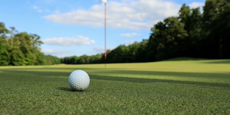 Chien sauve la vie de son maître en retrouvant une balle de golf disparue !