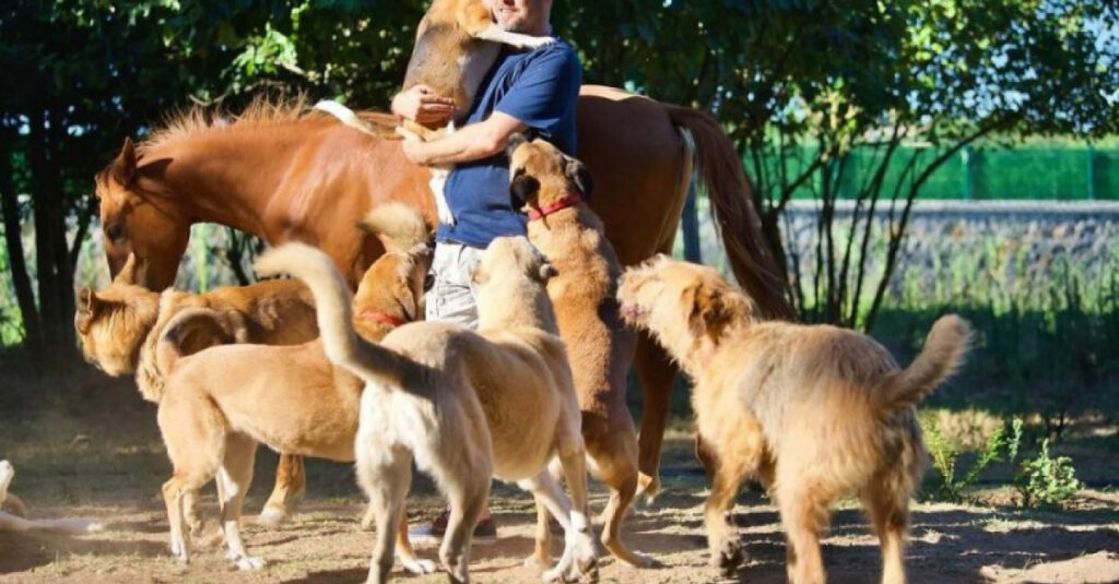 100 animaux à sauver : l’incroyable histoire d’un homme dévoué