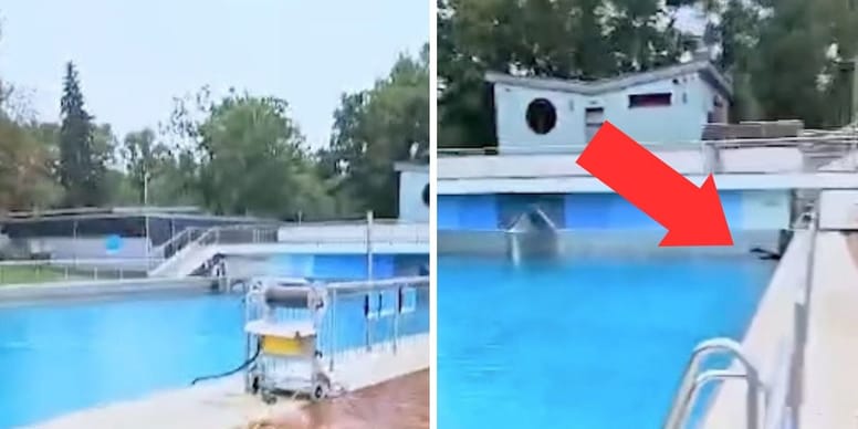 Nageur surpris: deux étrangers pris en train de nager dans la piscine au petit matin!