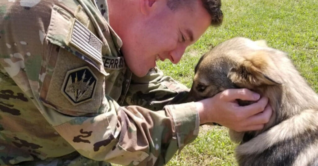 Chien devenu compagnon de route réserve une belle surprise à un militaire