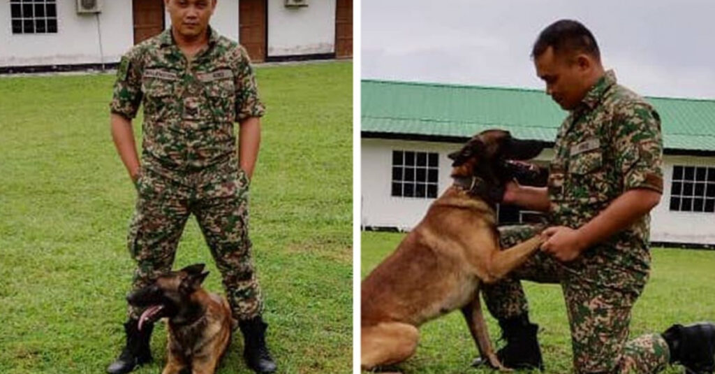 Chien militaire méfiant s’attache soudain à un mystérieux homme