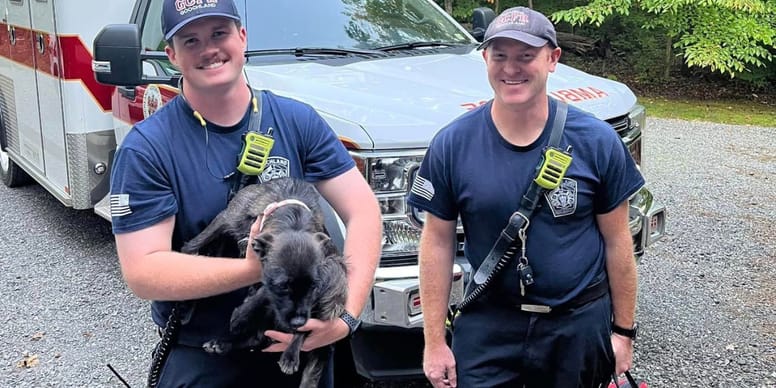 Chien sauvé par les pompiers : ce qu’ils ont découvert va vous surprendre !